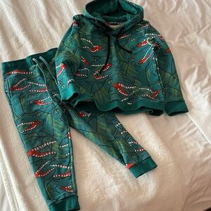 Bento Boys Designer Green Dinosaur Print Hoodie and Joggers Set